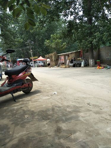河南省周口市鹿邑县004乡道靠近国家税务局鹿邑县贾滩税务分局