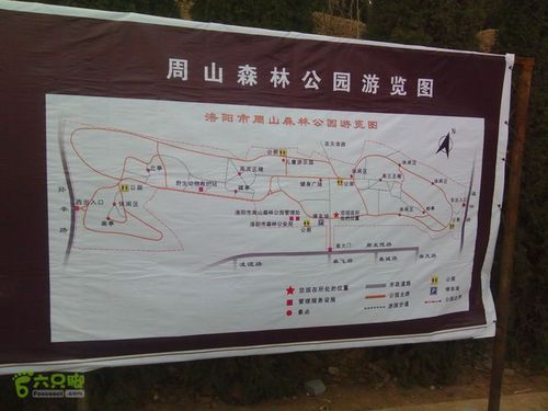 周山森林公园漫步