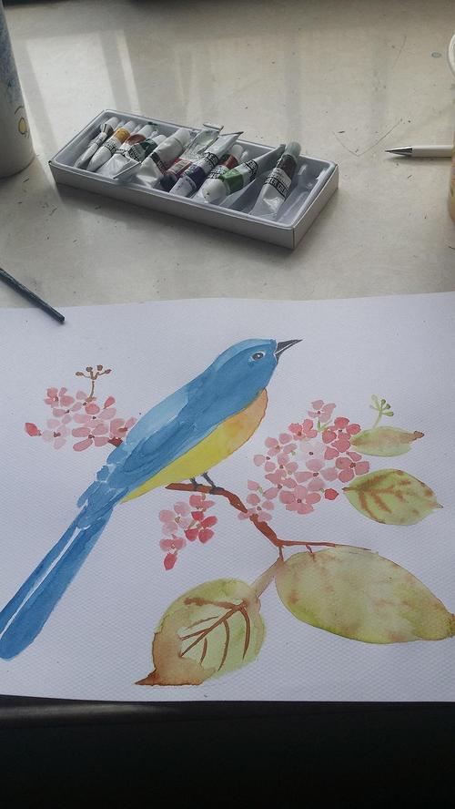 水彩.水粉纸.临摹.