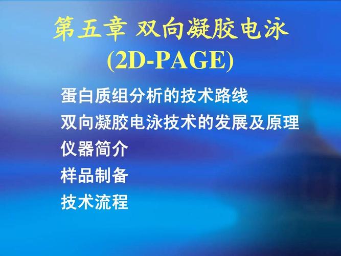 双向凝胶电泳