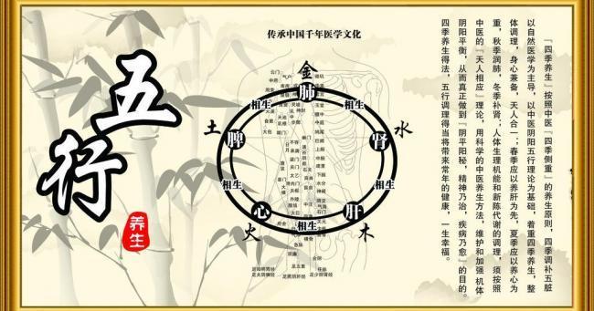 五行养生图片(cdr,psd源文件)