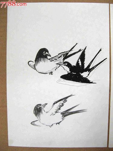 画家素描画稿飞鸟画3幅