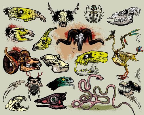 动物骷髅头骨矢量素材(编号:20130520104036)-流行