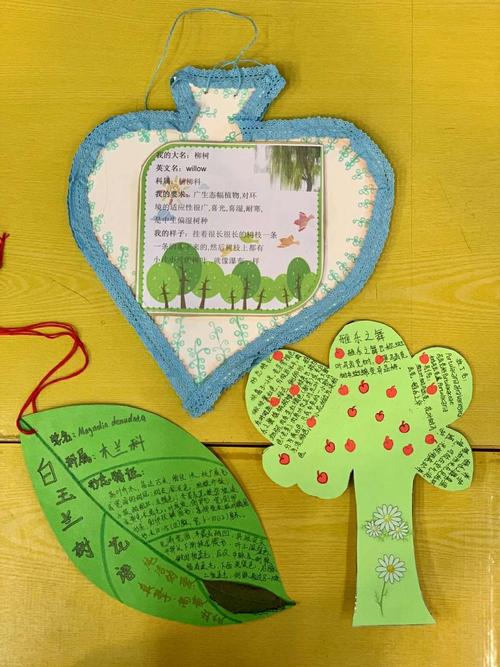 我的植物朋友一一植物名片设计大赛