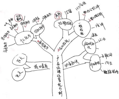 图一:youcore训练营学员叶健欣的能力树手绘图
