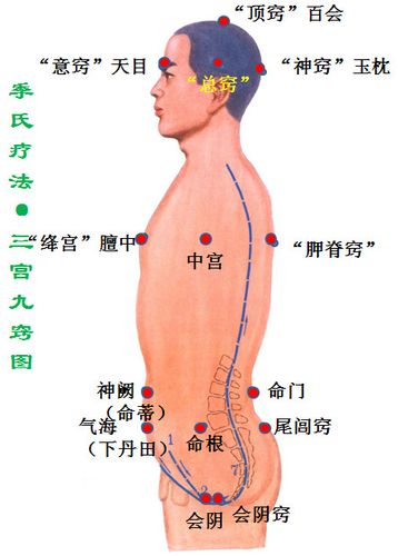 月夜归航 馆藏分类 这篇文章和【季氏疗法"开九窍"—回归自然·三宫
