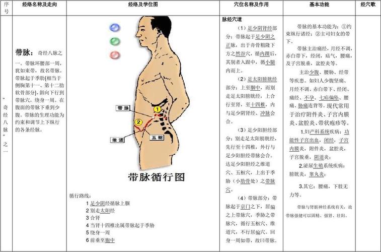 1 足少阴经循脉上腘 2 别走太阳经 3 合肾 4 当肾十四椎出属带脉起于