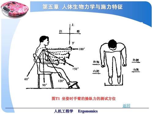 骨科人体生物力学与施力特征分析ppt_word文档在线阅读与下载_无忧