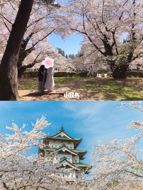 吉野山以外的「日本三大樱名所」之一,每年举行的「樱花祭」94规模