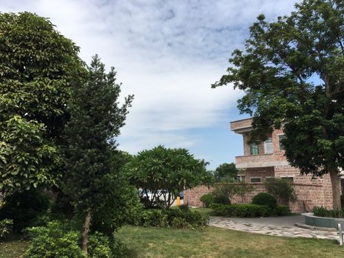 花都赤坭农庄一日游