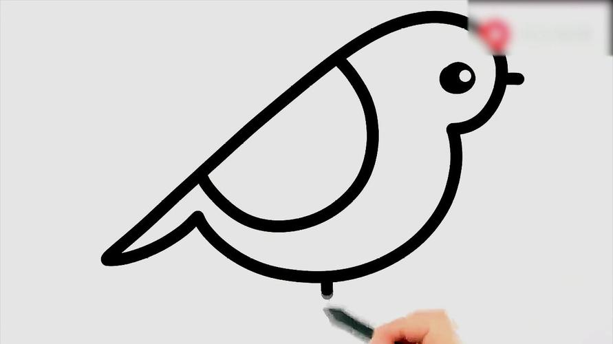 趣味鸟简笔画,如何画小鸟并涂色,哪一只更漂亮?