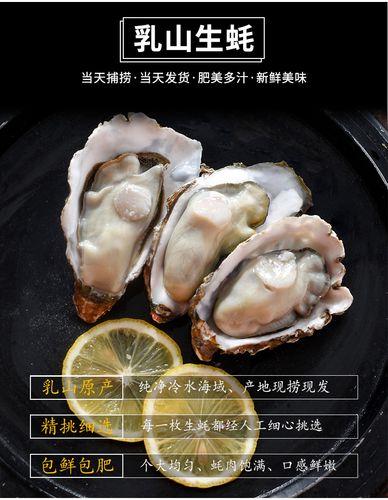 特大肉肥乳山生蚝 5斤整箱装