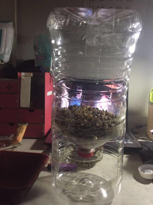 自制 猫粮自动喂食器
