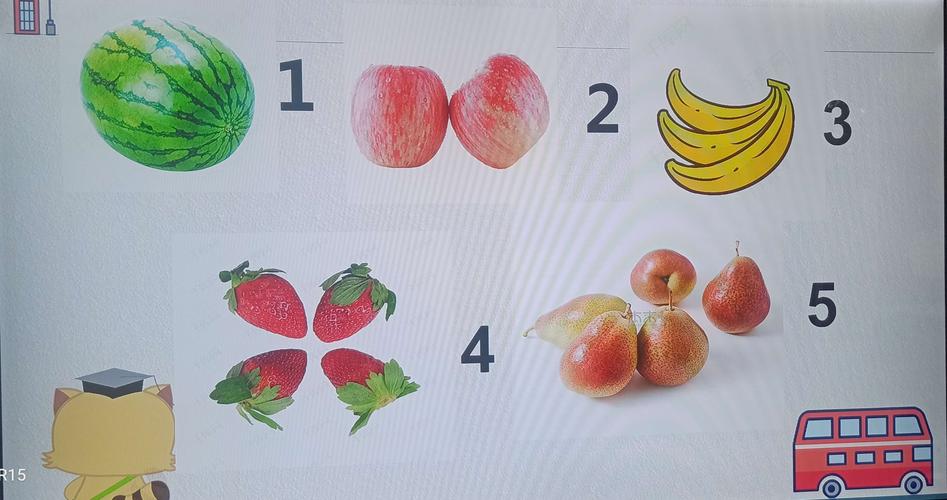 数物对应!
