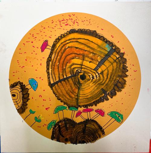 线条 2,创意目标:夸张,联想 六,课程内容: 1,初步认识树木的年轮,简单