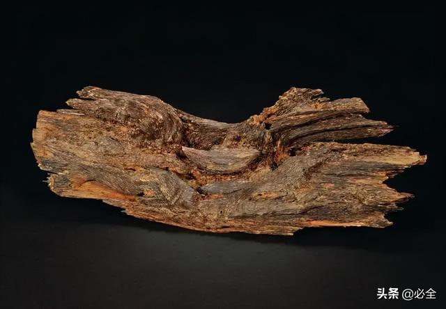 我国十大珍贵树种名贵树木