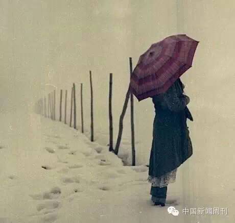 生活的坑都是你自己挖的
