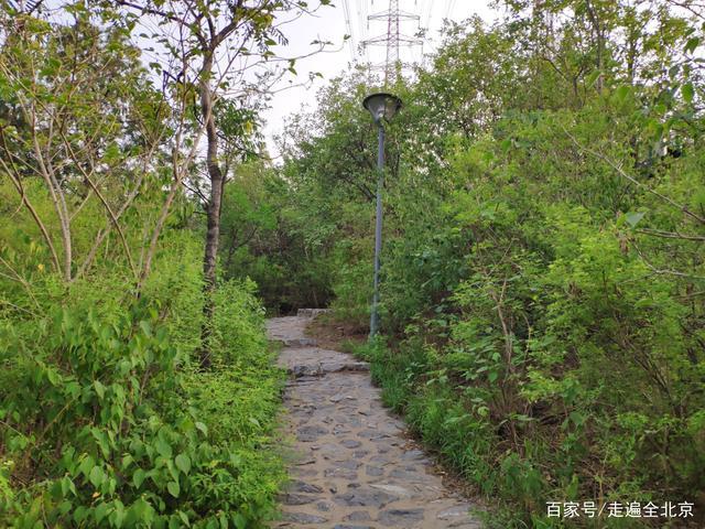 门头沟39:葡山公园