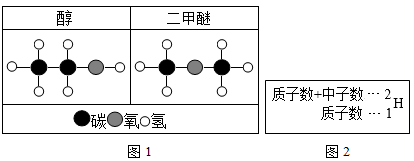 原子的定义与构成    (1)    图1为乙醇和二甲醚的分子结构模型