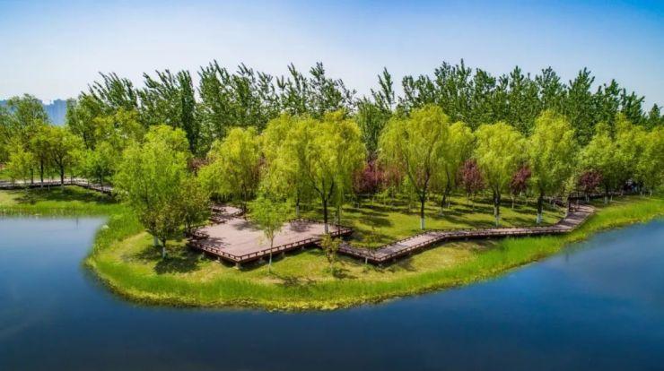 备注:渭河生态景观图 必须指出一点,诗经所云"泾渭分明",就诞生于此.