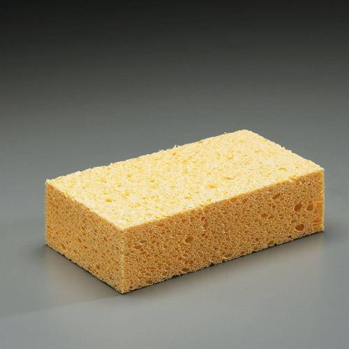 compressed expanding sponge
