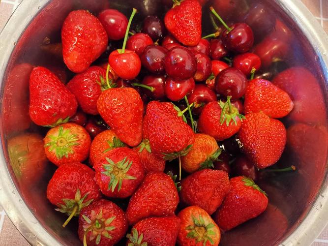 吃完再来一盆草莓车厘子嘻嘻嘻