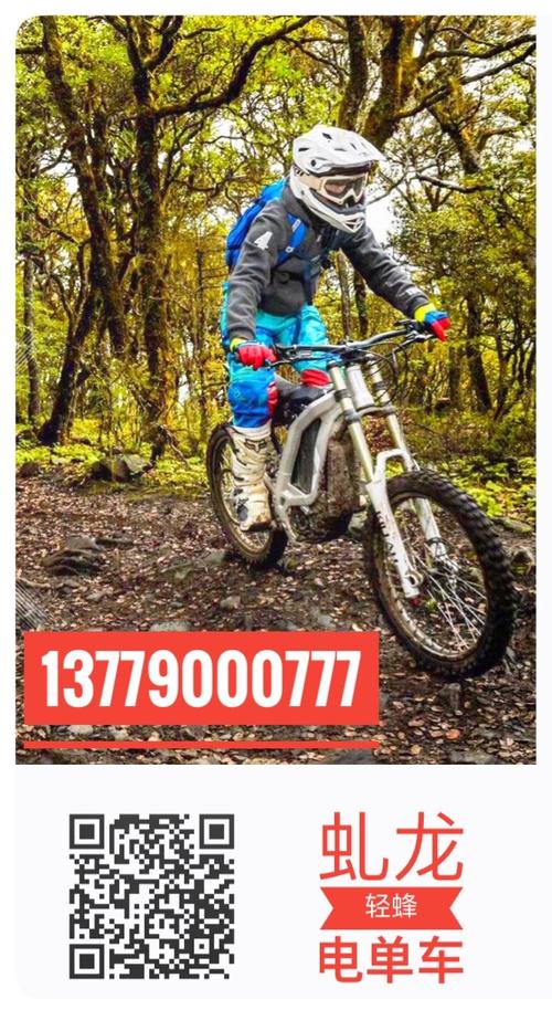 虬龙·轻蜂电单车