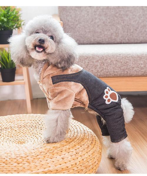 热卖泰迪小狗狗秋冬装小型中型犬比熊博美猫咪宠物冬季春秋款法斗衣服
