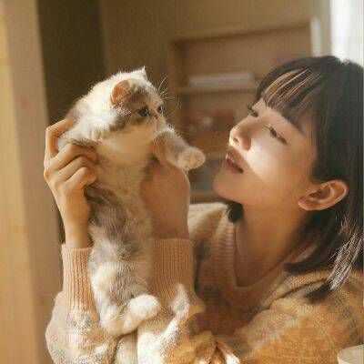 抱动物的女生头像青春可爱2018_气质美女和萌宠小猫咪