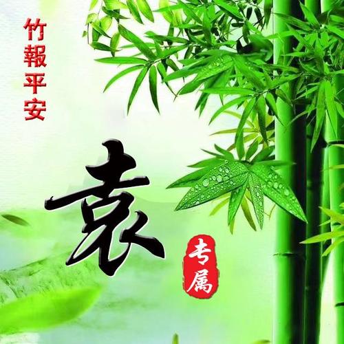 用姓氏来制作微信头像,编号b209,姓氏袁