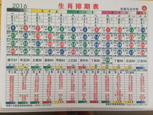 十二生肖排位图片