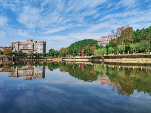 景德镇陶瓷大学7个专业入选2020国家级,省级一流本科专业建设点