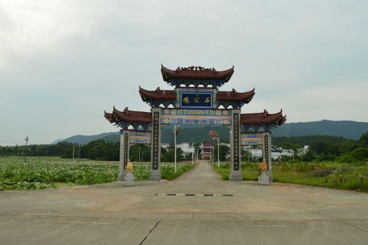 六月,安义县长埠镇车田村的荷花已悄然绽放,花还是荷花,可景就不同