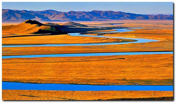 活动照片-【端午活动】若尔盖花湖湿地 九曲十八弯 红原大草原月亮湾