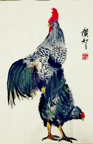 五绝偶遇芦花鸡