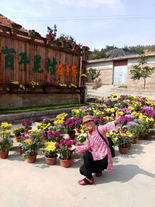威海赤山百年花村2017-10