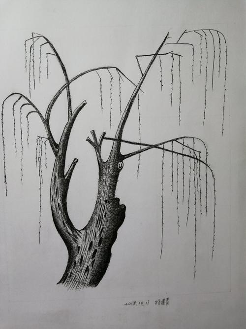 这幅柳树,练习树干细节,抓型等.
