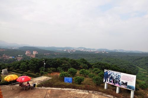 【荔枝之乡根子镇摄影图片】广东省茂名市高州市根子