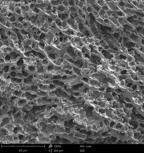 扫描电镜如何还原水凝胶真实结构