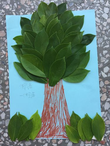 【美丽的树叶手工作品】一(4)班