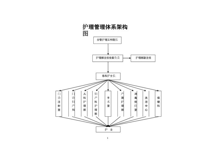 护理管理体系架构图.pptx