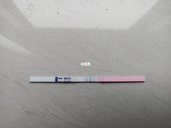 给你们看看怀孕后的排卵试纸_怀孕_排卵试纸_月经_母婴_孕产经验