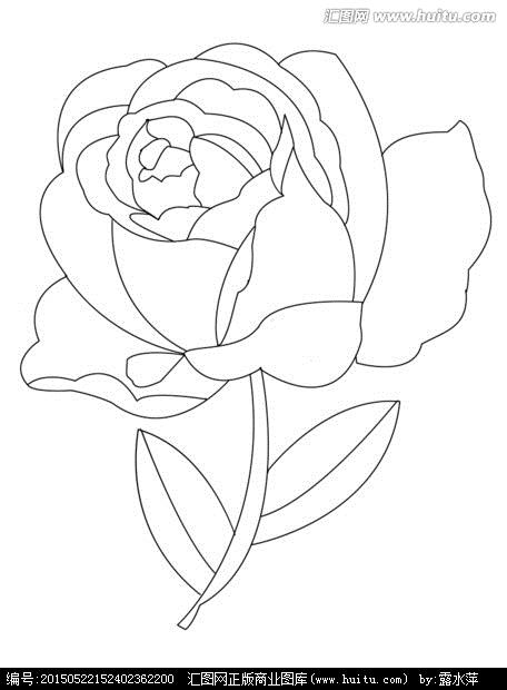 月季的简笔画图片-花中皇后月季花-5068儿童网