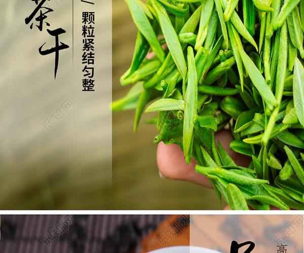 电商淘宝新鲜绿茶茶叶健康美味茶类促销活动通用详情页