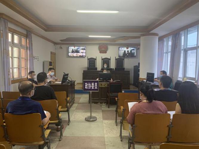 桐城法院开展政协委员旁听评议案件庭审活动