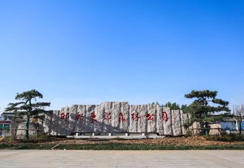 惊艳vlog!邂逅肥乡醉美夏景,邯郸东郊森林公园,你没见过的样子