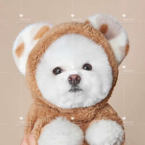 7815毛茸茸斑点小耳朵_宠物_韩国_比熊_约克夏_宠物用品_雪纳瑞