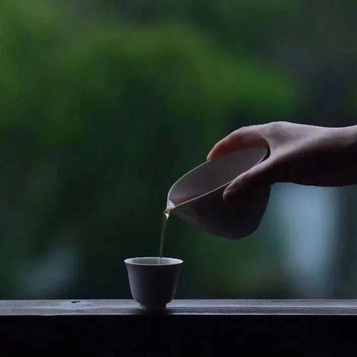 唯美   养生   禅意   慧悟