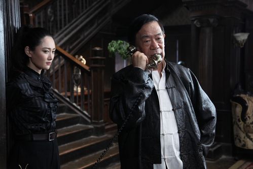 护宝风云