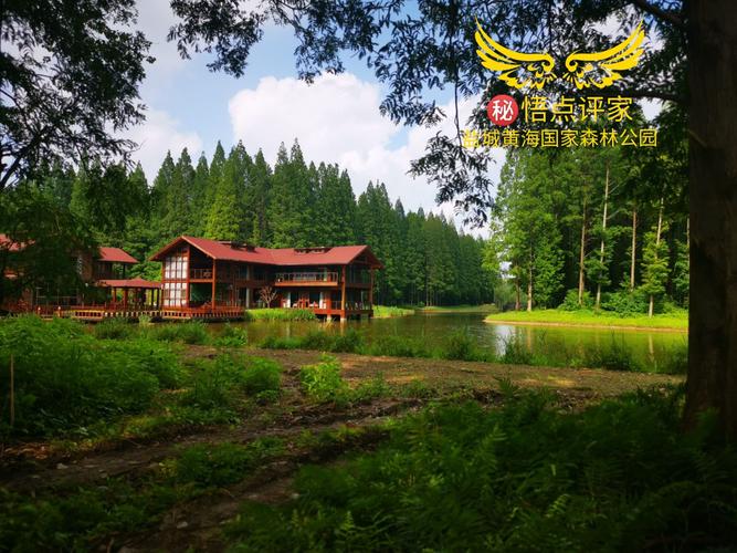 黄海森林公园旅游景点攻略图